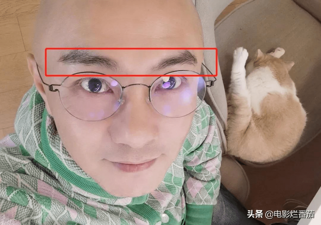 Theo một số dân mạng, lông mày của Trương Vệ Kiện không dày bằng sao nam bị bắt.