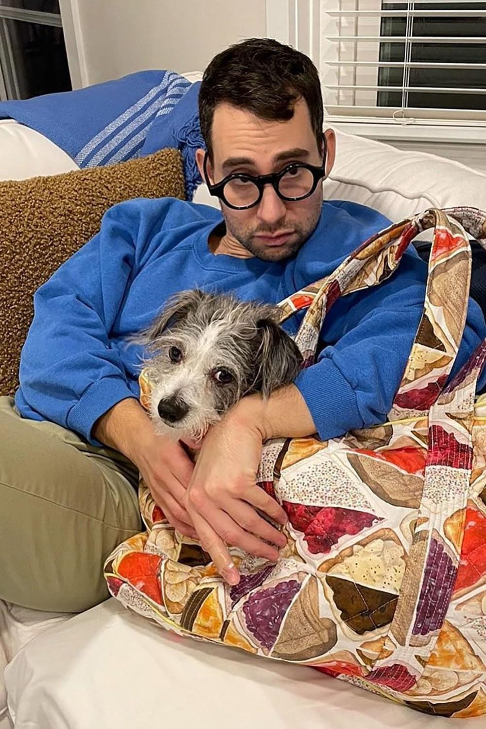 Ca sĩ Jack Antonoff ôm chặt lấy con chó Lafitte của nhà thiết kế Rachel Antonoff đang ở trong một chiếc túi tote lấy cảm hứng từ bánh sandwich. Ca sĩ Jack Antonoff ôm chặt lấy con chó Lafitte của nhà thiết kế Rachel Antonoff đang ở trong một chiếc túi tote lấy cảm hứng từ bánh sandwich.