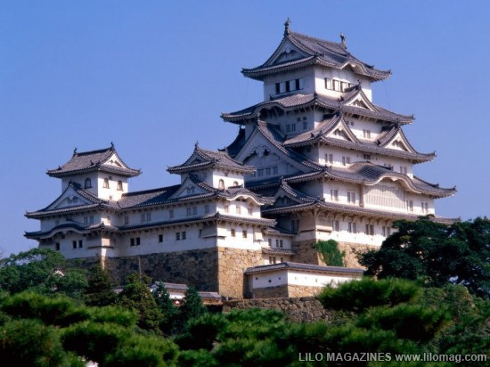 Lâu đài Malbork nổi tiếng nhất Ba Lan rộng 143.591 m2, được xây hoàn toàn bằng gạch theo phong cách kiến trúc Gôtích lớn nhất thế giới. Mehrangarh Fort rộng 81.227 m2, một pháo đài hàng nghìn năm tuổi tại Ấn Độ. Bao quanh là bức tường kiên cố có chiều dày 6m, bên trong là cung điện nguy nga với kiến trúc tinh xảo. Tại đây, bạn có thể thấy nhiều hiện vật lịch sử của những vị vua. Prague Castle rộng 66.761 m2 là lâu đài thời trung cổ lớn nhất ở châu Âu và là nơi ngự trị cổ xưa của các vị vua Séc trong suốt các thời đại. Đây là quần thể các tòa nhà, cung điện, thánh đường lộng lẫy và được xem là biểu tượng của cộng hòa Séc. Windsor Castle rộng 54.835 m2, là lâu đài lớn nhất, lâu đời nhất thế giới và là niềm tự hào lịch sử nước Anh. Lâu đài Hohensalzburg rộng 54523 m2 nằm tại thành phố Salzburg, Áo. Spis Castle rông 49485 m2 là một trong những lâu đài thời Trung cổ lớn nhất ở trung tâm châu Âu, tại miền đông Slovak Buda Castle rộng 44.674 m2 là lâu đài lịch sử của các vị vua Hungary tại Budapest. Himeji Castle rộng 41.468 m2 nằm ở trung tâm của thành phố Himeji, Nhật Bản. Thành cổ Aleppo rộng 39.804 m2, được coi là niềm tự hào của sa mạc, thành cổ Aleppo là một trong những lâu đài nổi tiếng nhất trong thế giới Ả Rập.