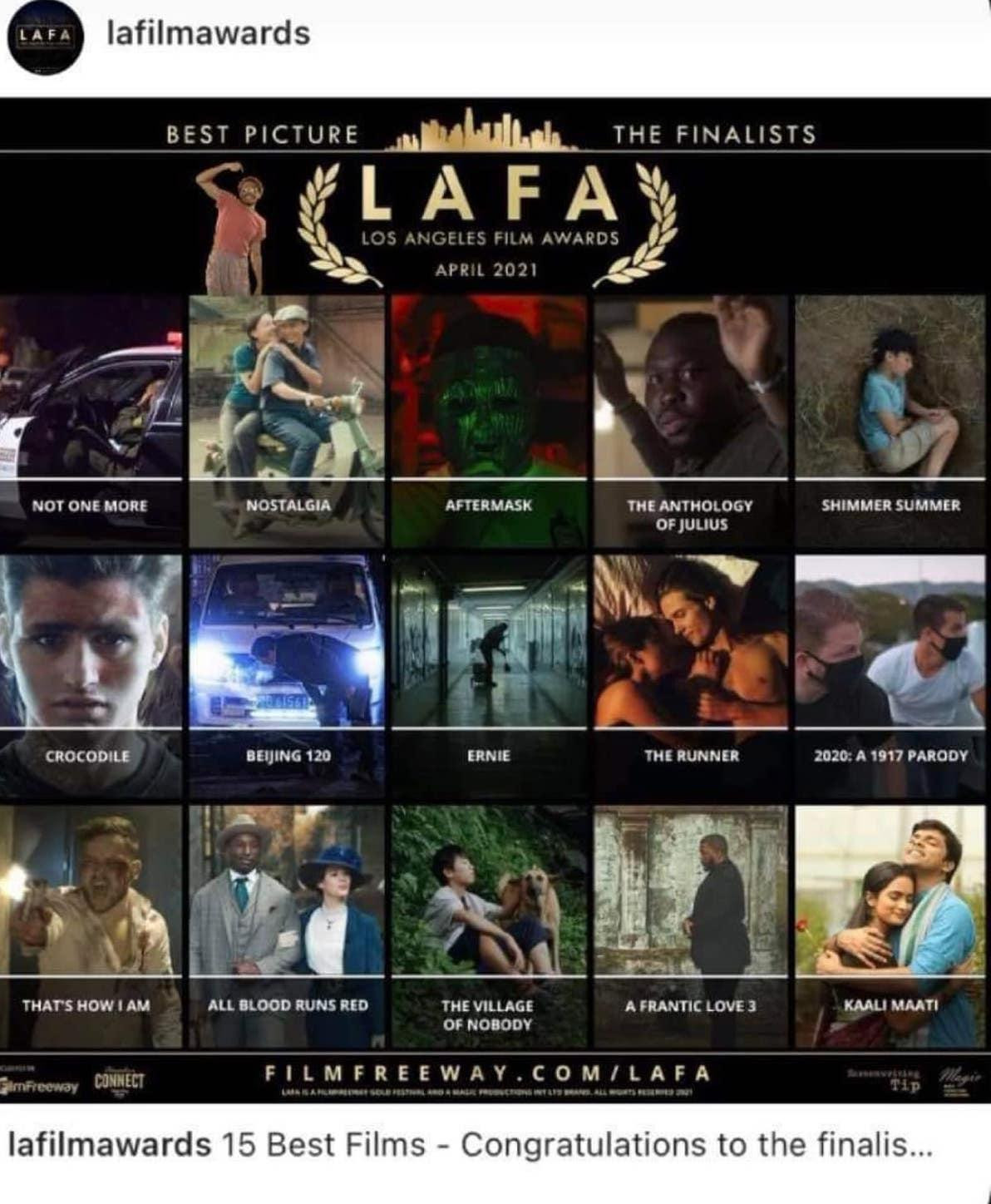 Dan sách TOP 15 phim đề cử LAFA (FBNV)