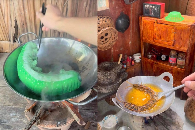 Hình ảnh sâu, rết khổng lồ được làm từ bột thu hút người xem Hình ảnh sâu, rết khổng lồ được làm từ bột thu hút người xem