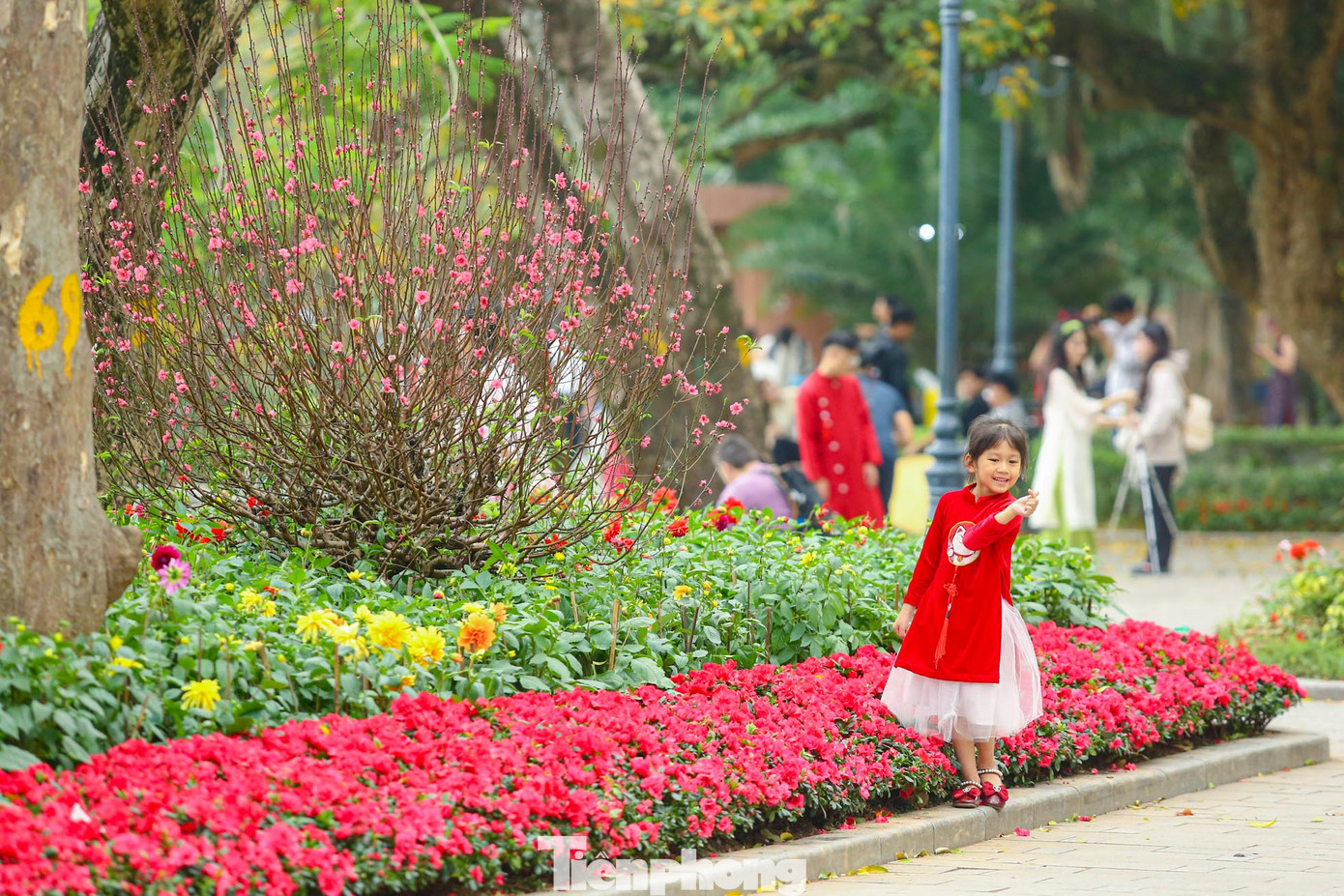 Nhiều bồn hoa rực rỡ sắc màu tươi mới, không thể rời mắt.