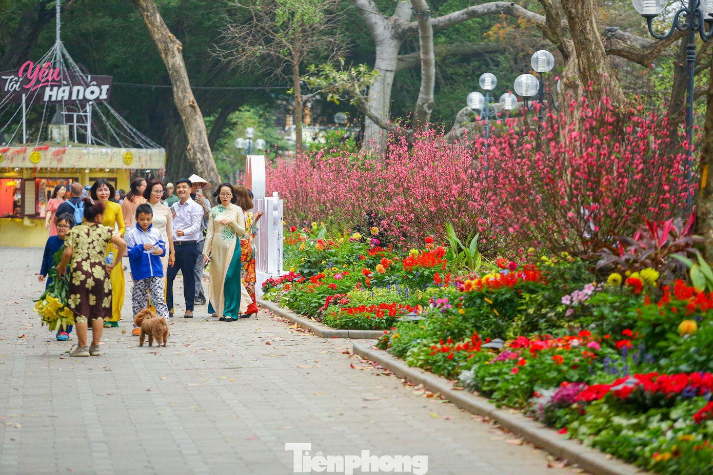 Có thêm sắc đào, 19 ô thảm hoa quanh hồ trở nên lung linh, rực rỡ.