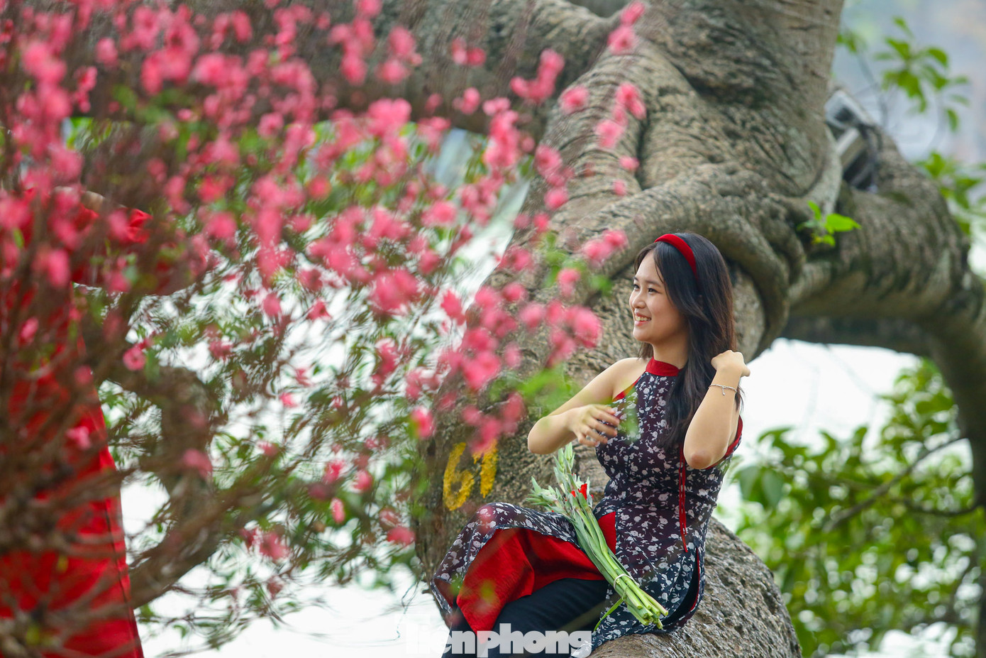 Các "nàng thơ" xúng xính trong các bộ trang phục truyền thống, tạo dáng chụp hình đón chào mùa xuân mới bên những cây đào quanh hồ.