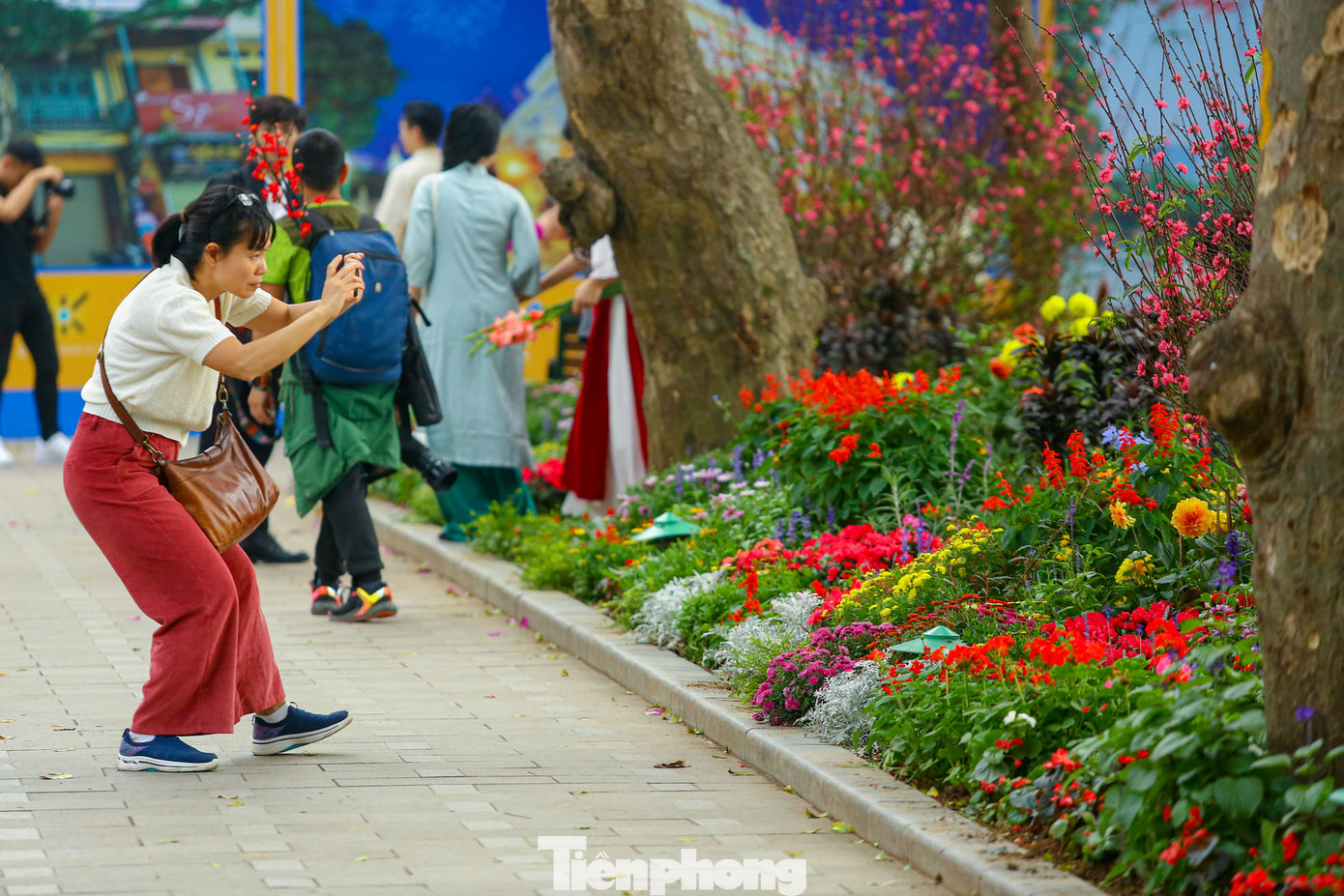 Người dân và du khách ghi lại hình ảnh thảm hoa đầy màu sắc ở hồ Hoàn Kiếm.