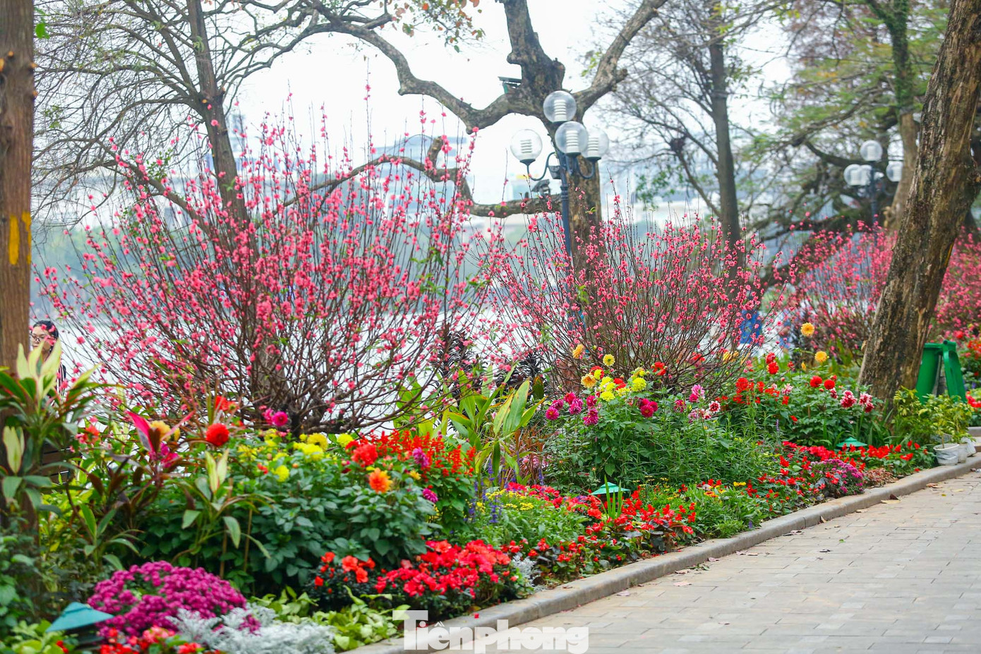 Những ngày cuối cùng trong năm 2023, người dân Thủ đô bất ngờ trước thảm hoa tuyệt đẹp vốn đã muôn màu sắc với nhiều loại khác nhau lại được tô điểm thêm sắc hồng của hoa đào khiến hồ Hoàn Kiếm lung linh, mang đậm không khí Tết.