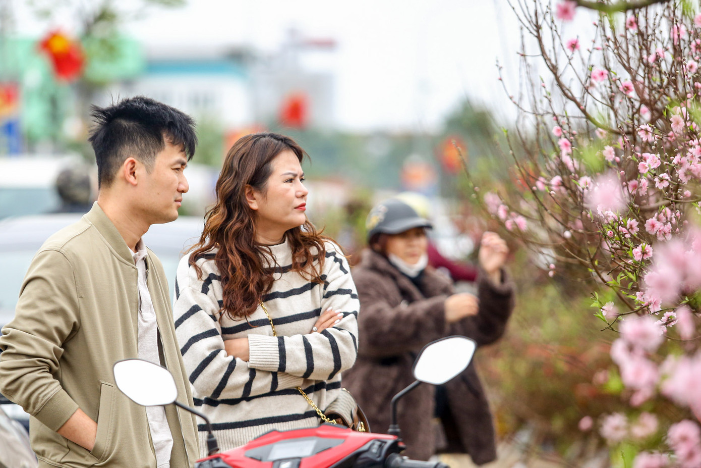 Ai nấy đều chăm chú chọn lựa để mua được những cành đào, cây quất, cây mai… kiểu dáng đẹp chơi vào dịp Tết Giáp Thìn. Ai nấy đều chăm chú chọn lựa để mua được những cành đào, cây quất, cây mai… kiểu dáng đẹp chơi vào dịp Tết Giáp Thìn.