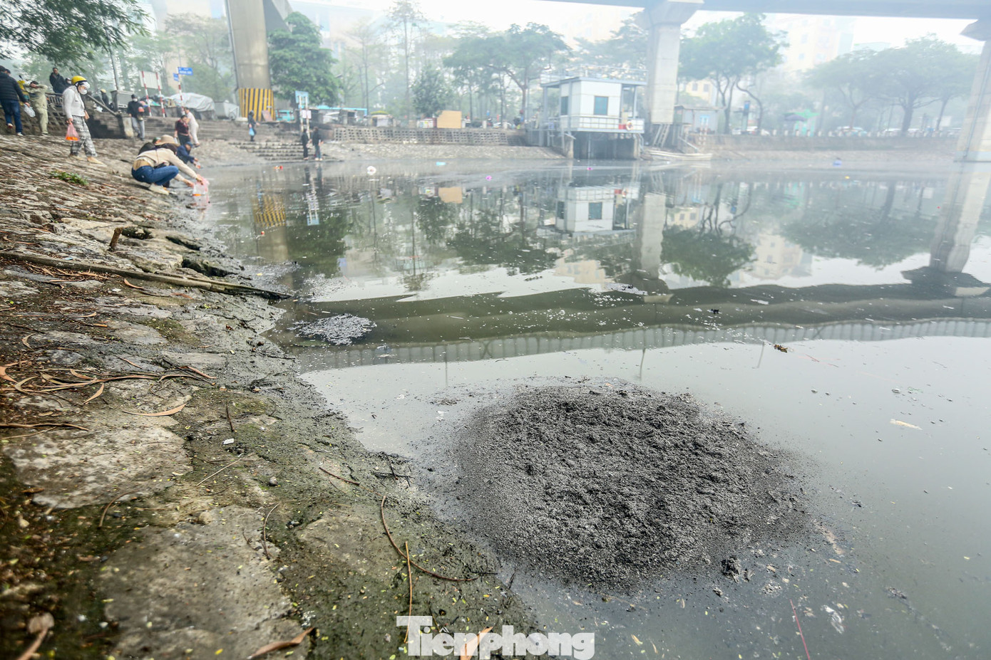 Chỉ sau vài tiếng, mặt nước hồ Hoàng Cầu trở nên biến dị.