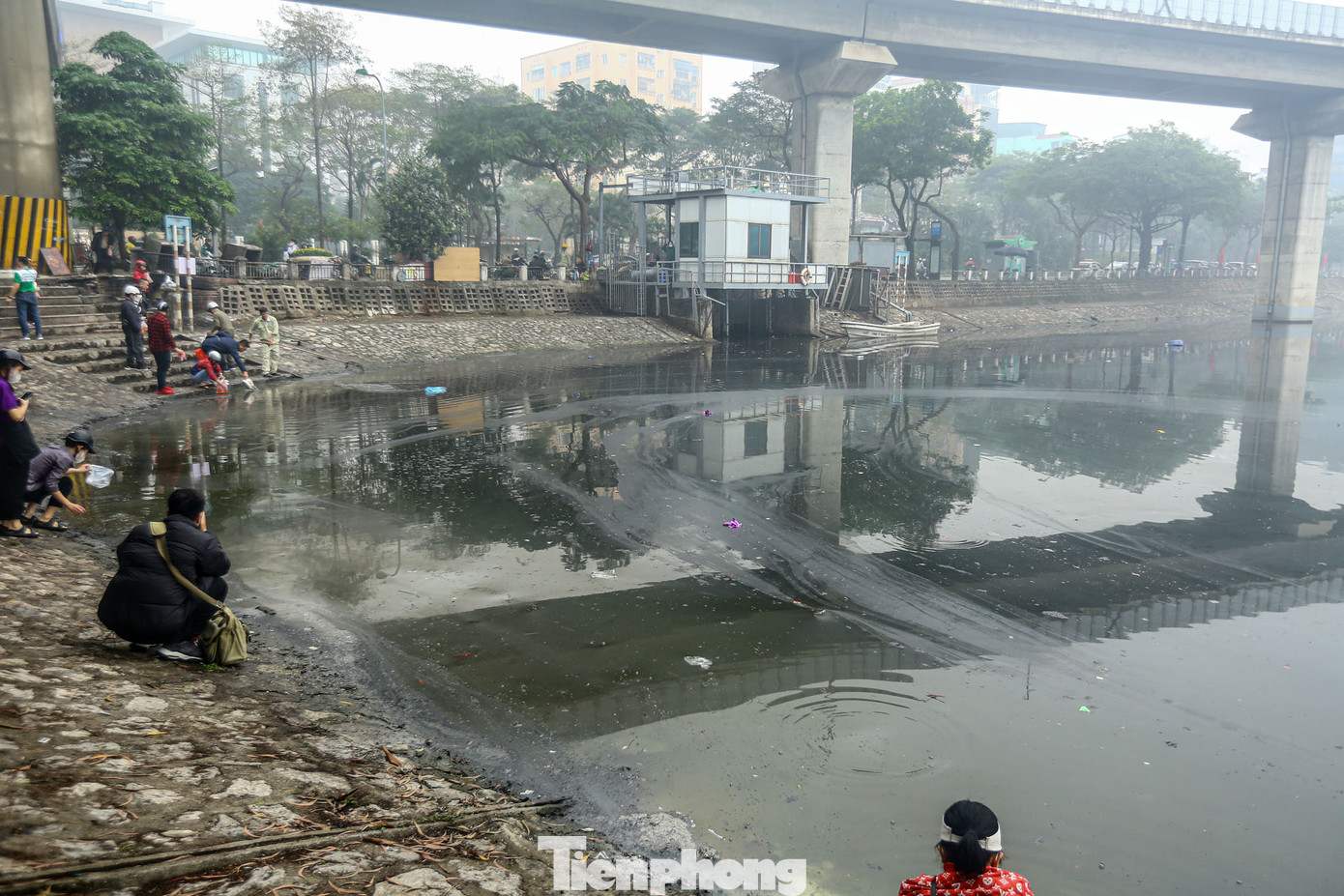 "Người thả cá, người thì cả tro xuống hồ, mà tro thì dày đặc thế thì cá làm sao mà sống được", một người dân bức xúc.