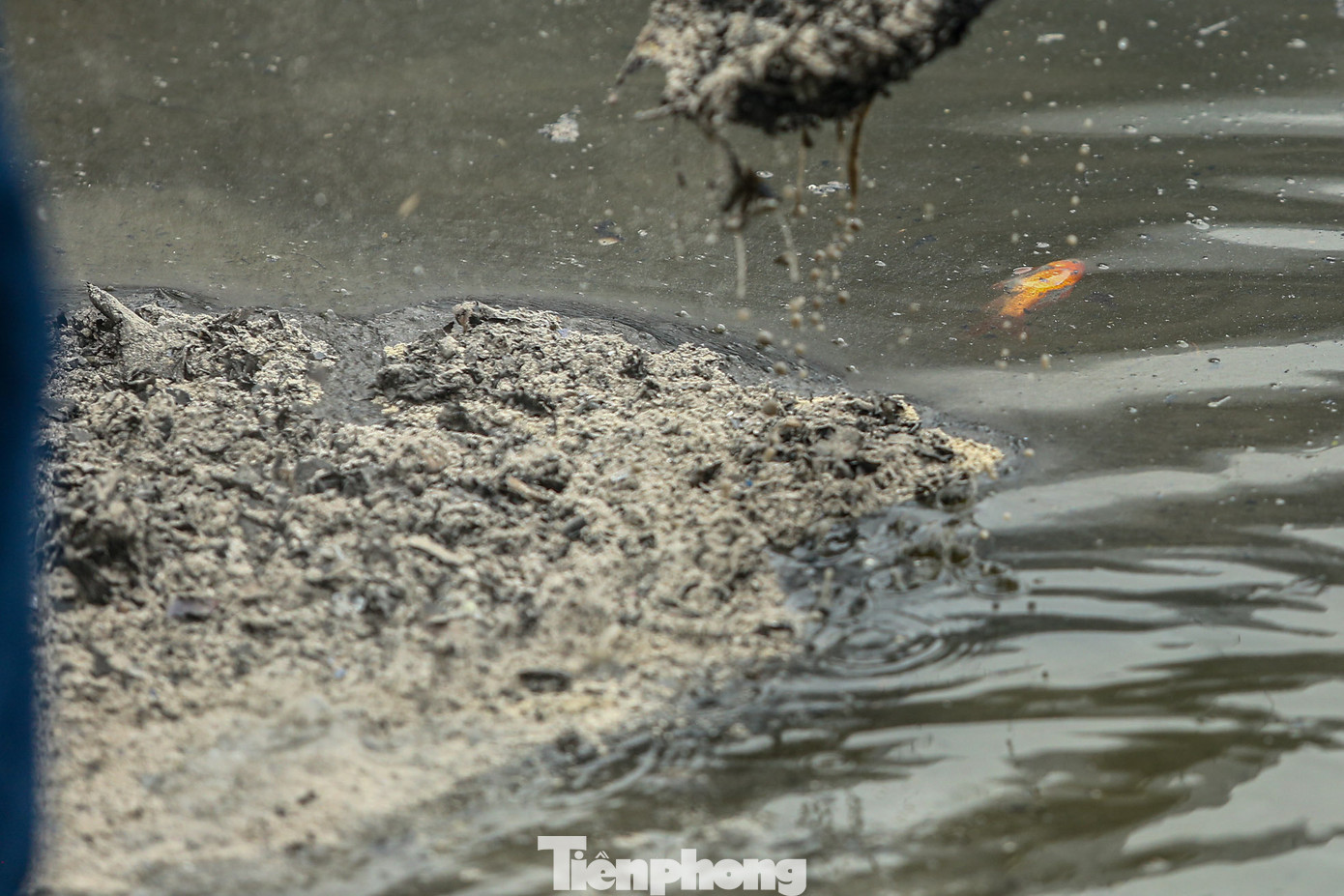 Xuất hiện nhiều tro bụi, tàn hương xung quanh mặt nước hồ.