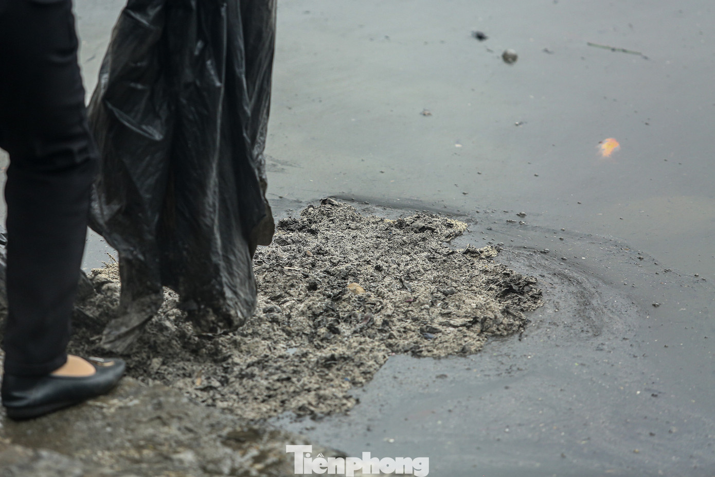 Cùng với việc thả cá chép, một số bộ phận người dân thả cả bụi tro, chân hương, đồ thờ cúng xuống hồ khiến mặt nước hồ biến sắc, gây ô nhiễm.