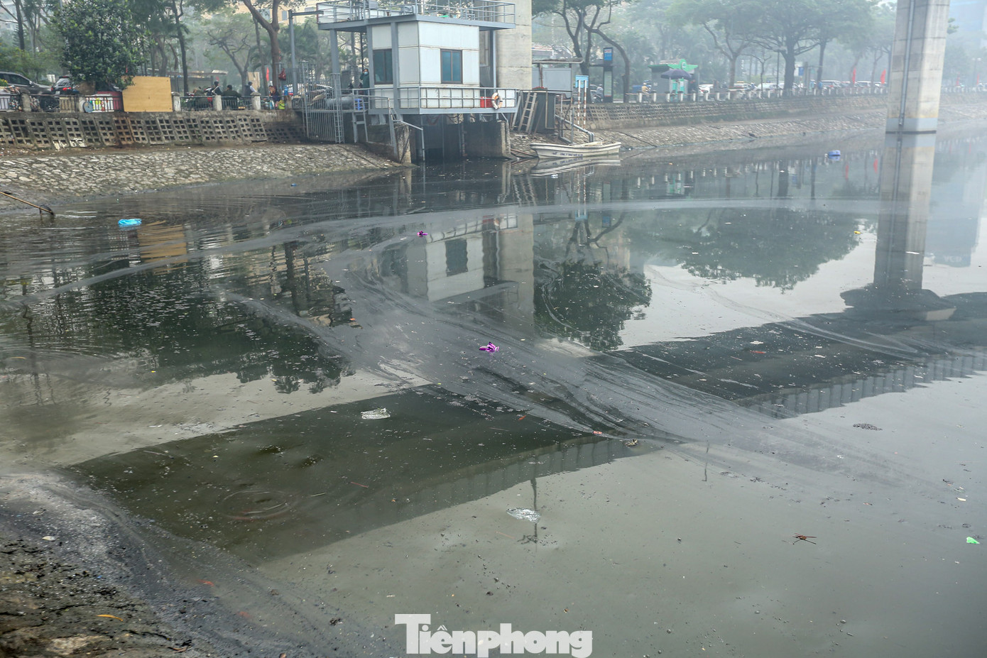 Không chỉ mang ý nghĩa “đưa ông Táo bay về trời”, hành động phóng sinh còn hướng con người đến những điều thiện, giá trị tốt đẹp trong cuộc sống. Vì vậy, chọn đúng cách thả cá chép vàng để không làm mất đi ý nghĩa của tục lệ và gây hại cho môi trường.
