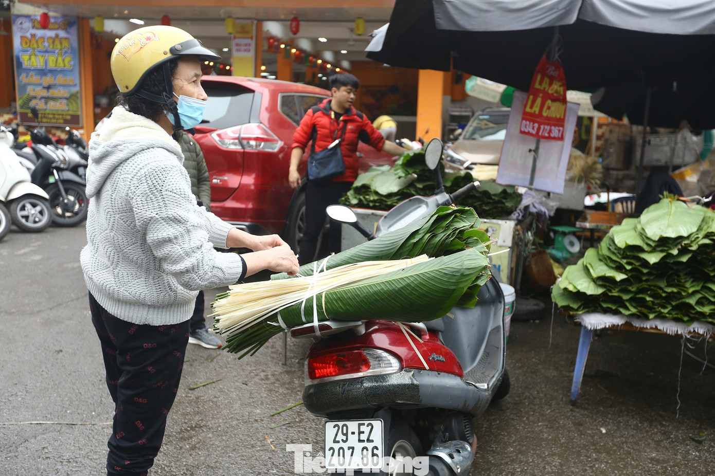 Lá dong ở đây được chia làm 2 loại: lá dong rừng và lá dong quê.