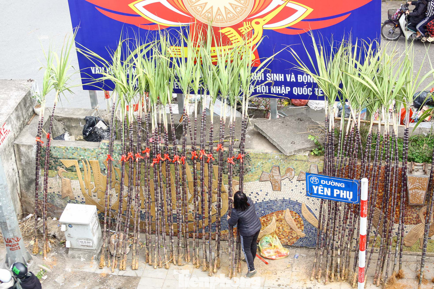 Tục đặt hai cây mía lộc lên bàn thờ tổ tiên vào dịp Tết là phong tục truyền thống lâu đời của người Việt.