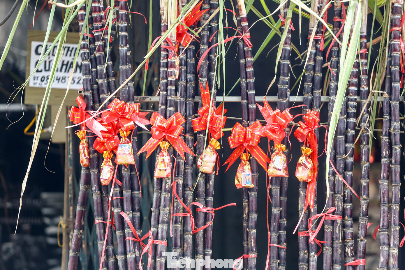 Những túi muối kèm theo mía lộc. Đây là hai món hàng được nhiều người chọn mua sau lễ giao thừa nhằm cầu may.