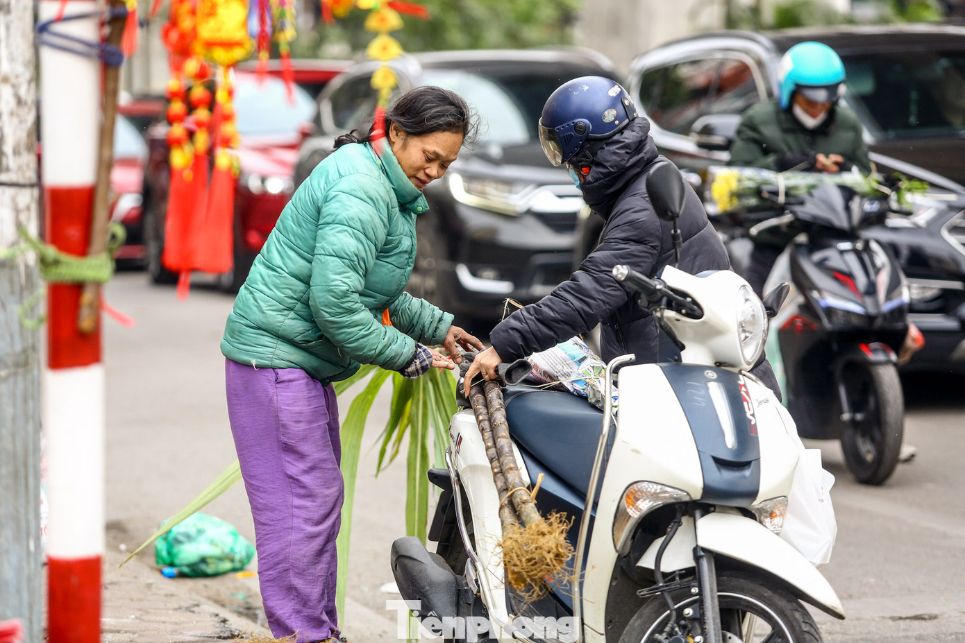 Nhiều người chọn mua mía lộc từ sớm cho được giá.
