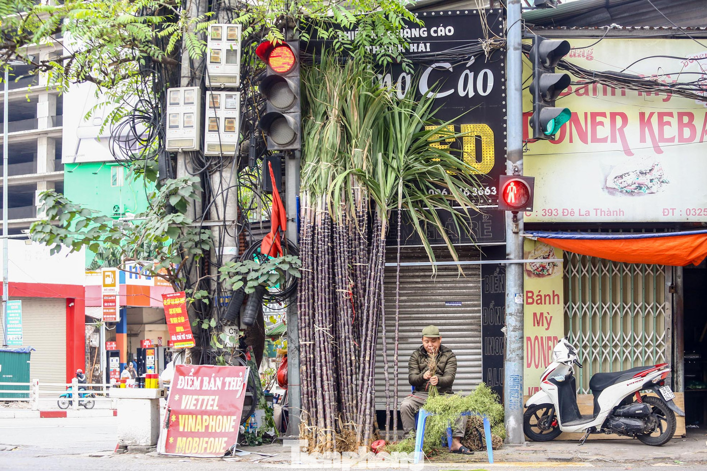 Vì lẽ này mà sau giao thừa, mía lộc đặc biệt là các cây mía đẹp còn nguyên ngọn lá gốc rễ được nhiều người dân săn đón.