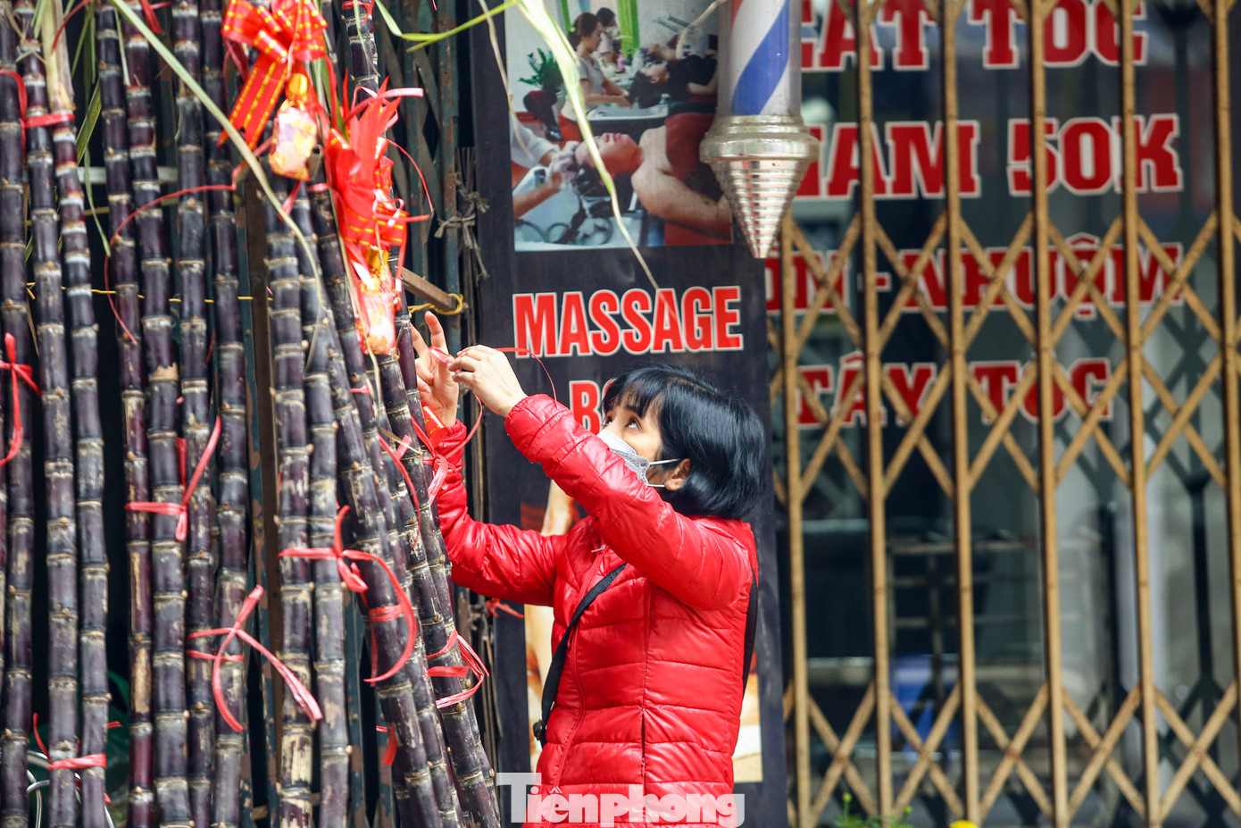 So với năm trước, giá mía lộc năm nay cao hơn. Đây cũng là dịp hốt bạc cho các tiểu thương.