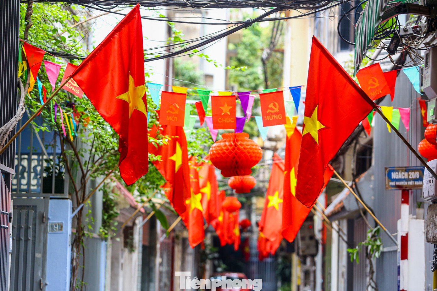 Từ nhà ra ngõ, từ ngõ nhỏ rẽ tới phố lớn, khắp nơi nơi đều ngập tràn không khí Tết.