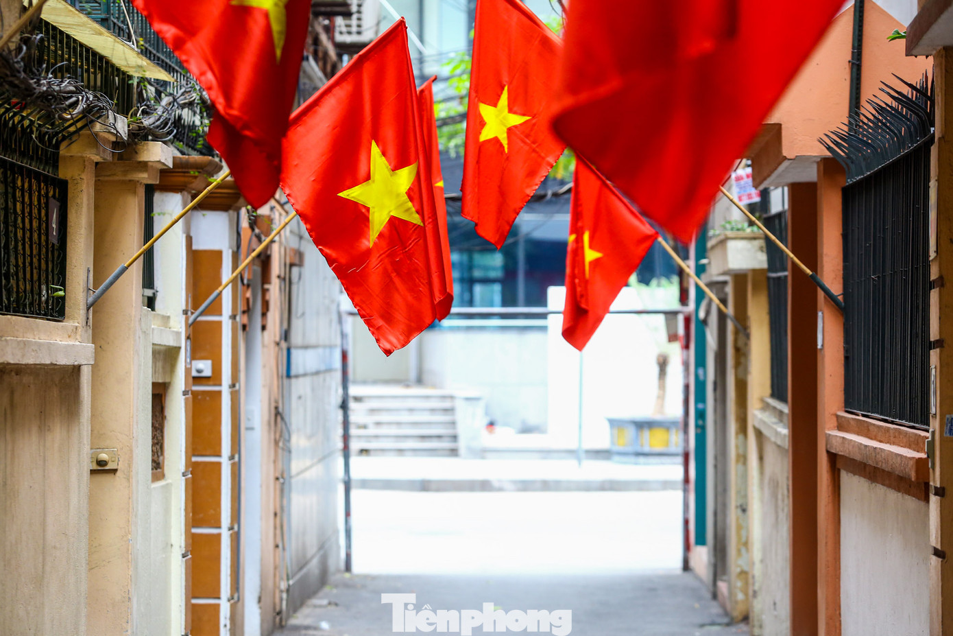 Như thông lệ, việc treo cờ đỏ sao vàng vào những ngày Tết là điều tất yếu.