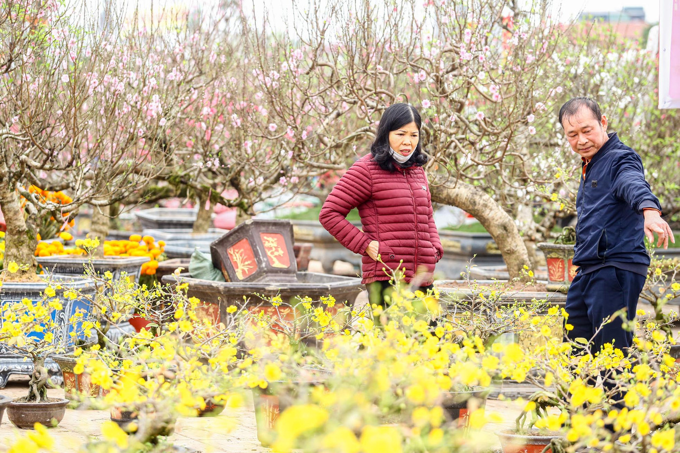 Không khí mua sắm cây cảnh nhộn nhịp tại chợ hoa xuân quận Long Biên. Không khí mua sắm cây cảnh nhộn nhịp tại chợ hoa xuân quận Long Biên.