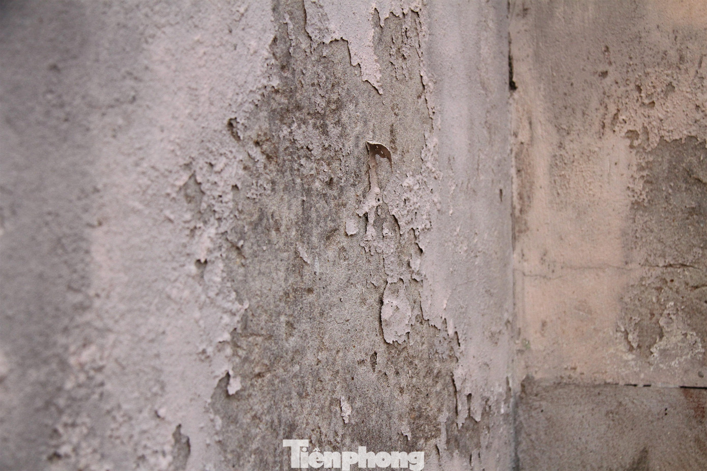 Dù xây dựng hơn 3 năm nhưng không có người ở, màu sơn trên tòa nhà chung cư tái định cư này cũ kĩ, cửa kính các căn hộ vẫn chưa bóc tấm dán bên ngoài, nhưng đã xỉn màu vì mưa nắng.