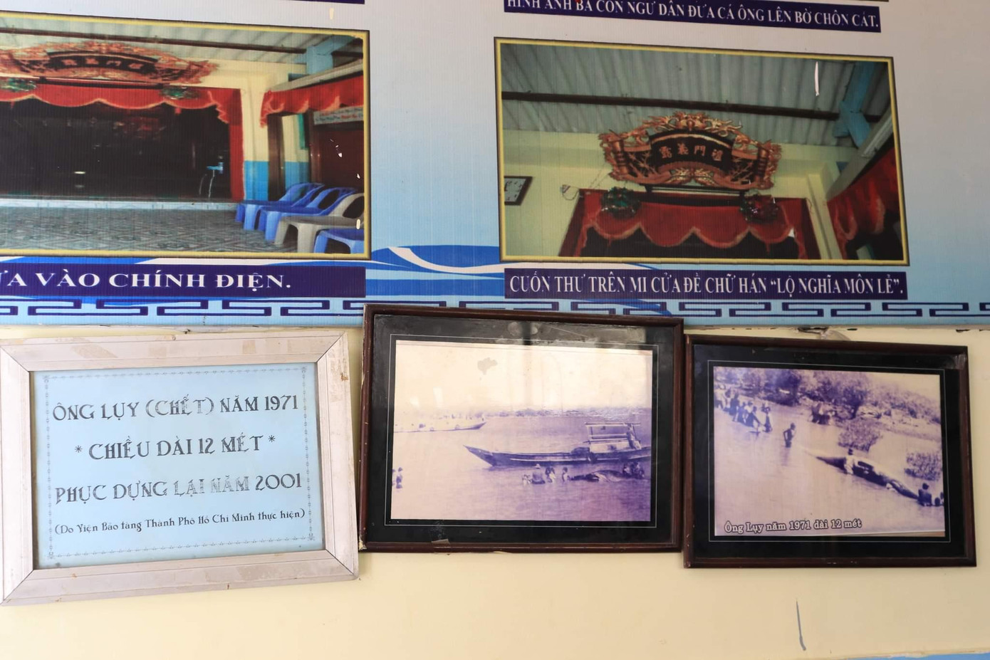 Nếu phát hiện cá Ông chết thì gọi là Ông lụy. Theo tín ngưỡng, cá Ông sẽ mang lại nhiều may mắn cho ngư dân phát hiện cũng như làng vạn chài của ngư dân đó. Vì vậy họ tôn thờ và tiến hành an táng xác cá Ông với các Thủy tục tín ngưỡng của ngư dân vùng biển.