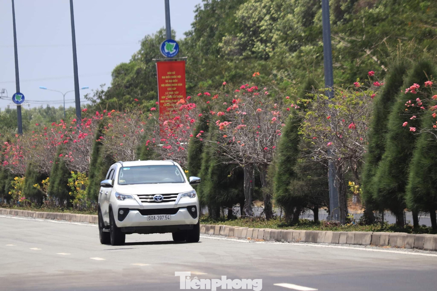 Đường rừng Sác nối dài giữa TPHCM và huyện Cần Giờ trải dài 36km được chia làm 2 làn, điểm nhấn là giàn hoa giấy ở giữa.