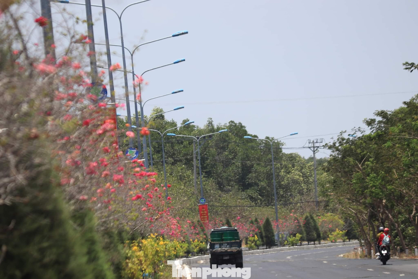 Chính vì thế vào dịp nghỉ lễ như 30/4 - 1/5, nhiều bạn trẻ đã chọn Cần Giờ là điểm đến để tham quan, vui chơi.