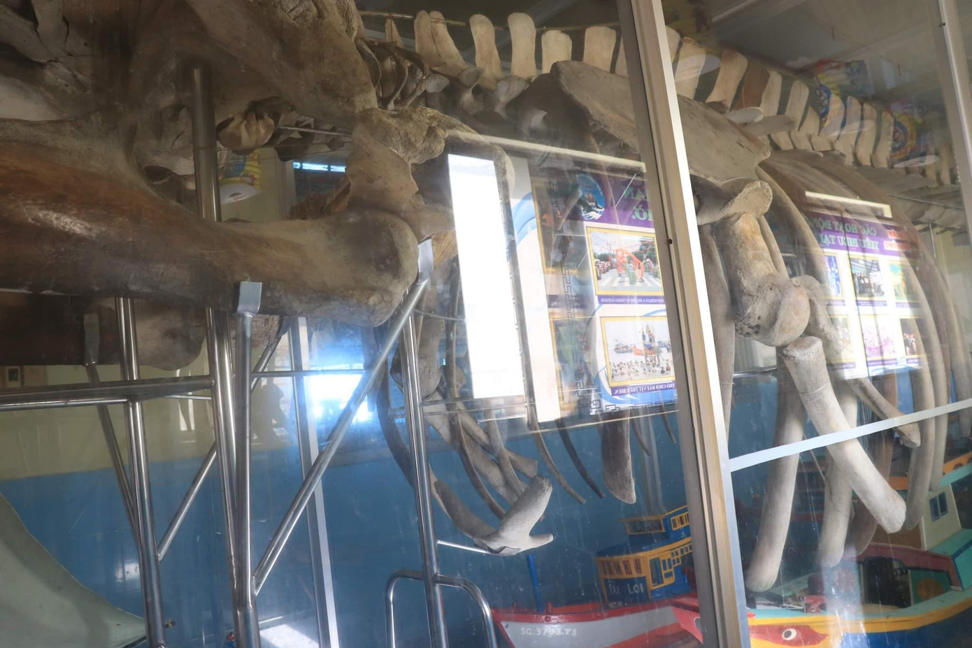 Cá Ông lụy vào năm 1971, sau đó được nhân dân Cần Giờ lập đền thờ cúng.