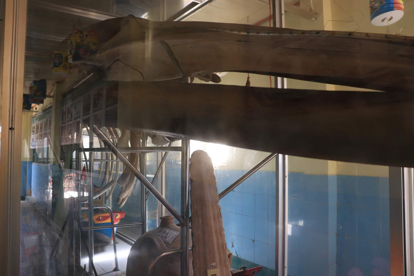 Đến năm 2001, Viện Bảo tàng TPHCM phục dựng lại bộ xương này. Hàng năm cứ đến rằm tháng Tám âm lịch, nhân dân huyện Cần Giờ lại tưng bừng tổ chức hội “Nghinh ông Thủy Tướng” với những phong tục truyền thống.