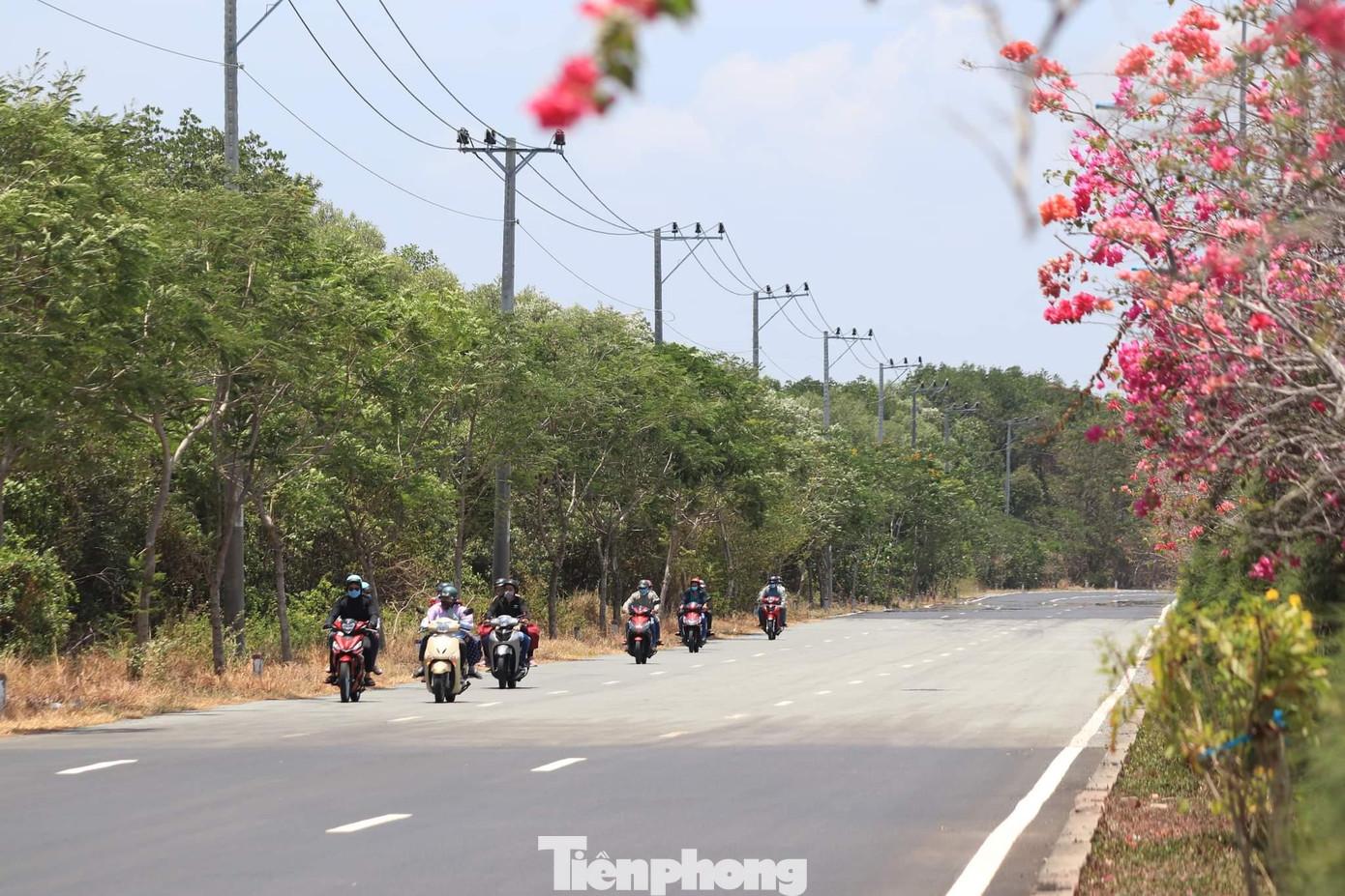 Nằm cách trung tâm TPHCM khoảng 50km, Cần Giờ được mệnh danh là “lá phổi xanh” bởi khi đến đây du khách được tận hưởng không gian xanh, không xô bồ, đông đúc.