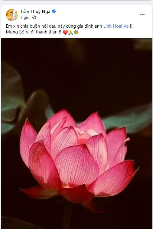 Nhiều sao Việt gửi lời chia buồn đến gia đình nghệ sĩ Hoài Linh. Nhiều sao Việt gửi lời chia buồn đến gia đình nghệ sĩ Hoài Linh.