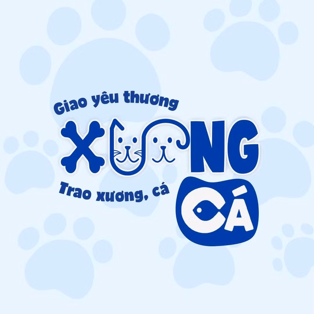 Bộ ảnh nhận diện của dự án “Xương cá”.