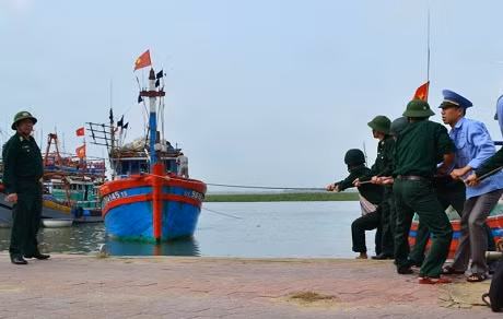 Người dân Nghệ An chặt cây xanh đề phòng cây cối bị gãy đổ gây hư hại nhà cửa.