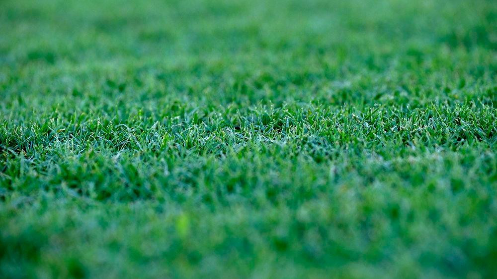 Trước trận đội tuyển Việt Nam vs Nhật Bản: Hà Nội rực sắc đỏ ảnh 66