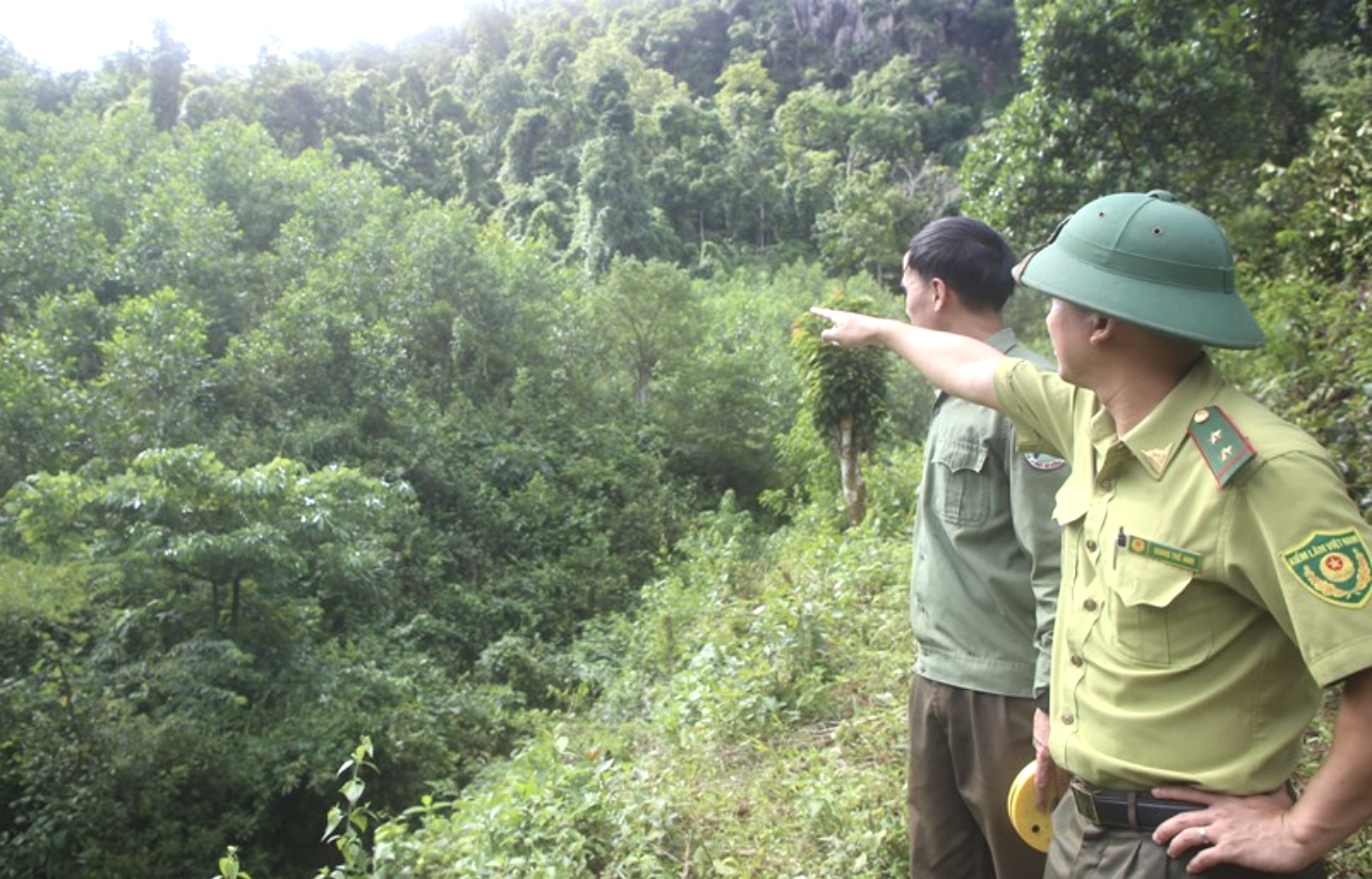 Diện tích nằm trong “sổ đỏ” của BQL Khu bảo tồn thiên nhiên Đakrông, song do người dân canh tác từ lâu. Diện tích nằm trong “sổ đỏ” của BQL Khu bảo tồn thiên nhiên Đakrông, song do người dân canh tác từ lâu.