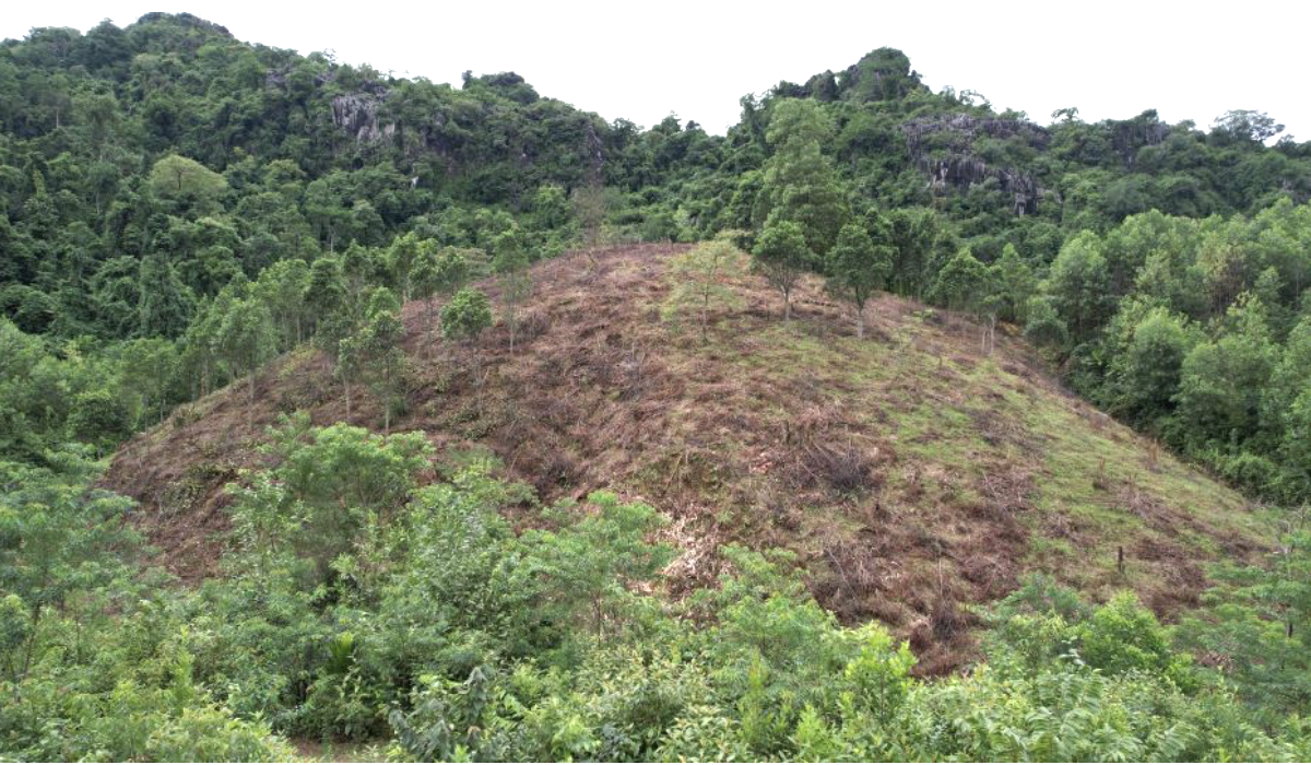 Nương rẫy của đồng bào thiểu số thuộc đất rừng Nương rẫy của đồng bào thiểu số thuộc đất rừng