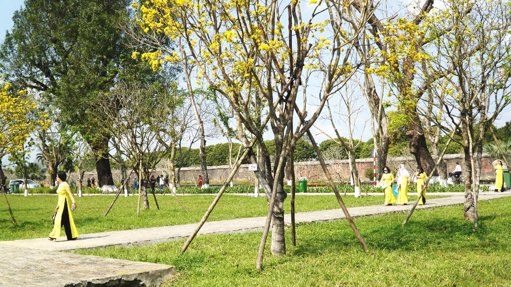 Chủ tịch tỉnh Phan Ngọc Thọ nói gì về việc không tái cử HĐND tỉnh TT-Huế? ảnh 3