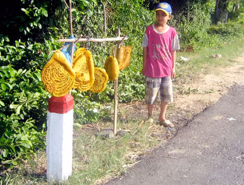 Nhiều người đi đường bị hấp dẫn bởi những tổ ong rừng tươm mật. Ảnh: Chí Phan