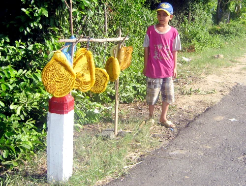 Nhiều người đi đường bị hấp dẫn bởi những tổ ong rừng tươm mật. Ảnh: Chí Phan