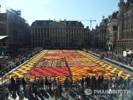 Tấm thảm hoa hải đường trước sự chiêm ngưỡng của mọi người 