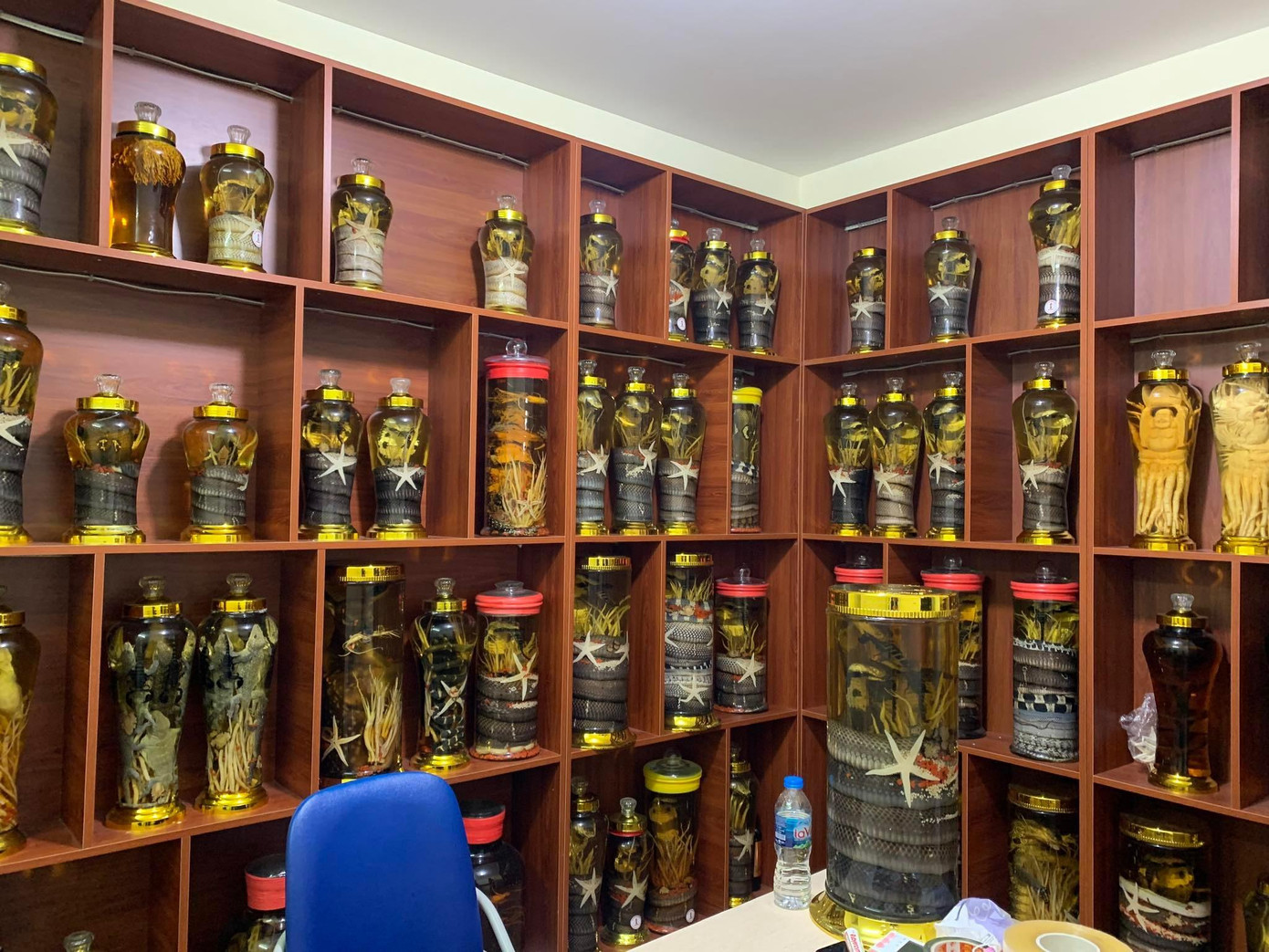 Rượu ngâm động vật phát hiện tại căn hộ chung cư.