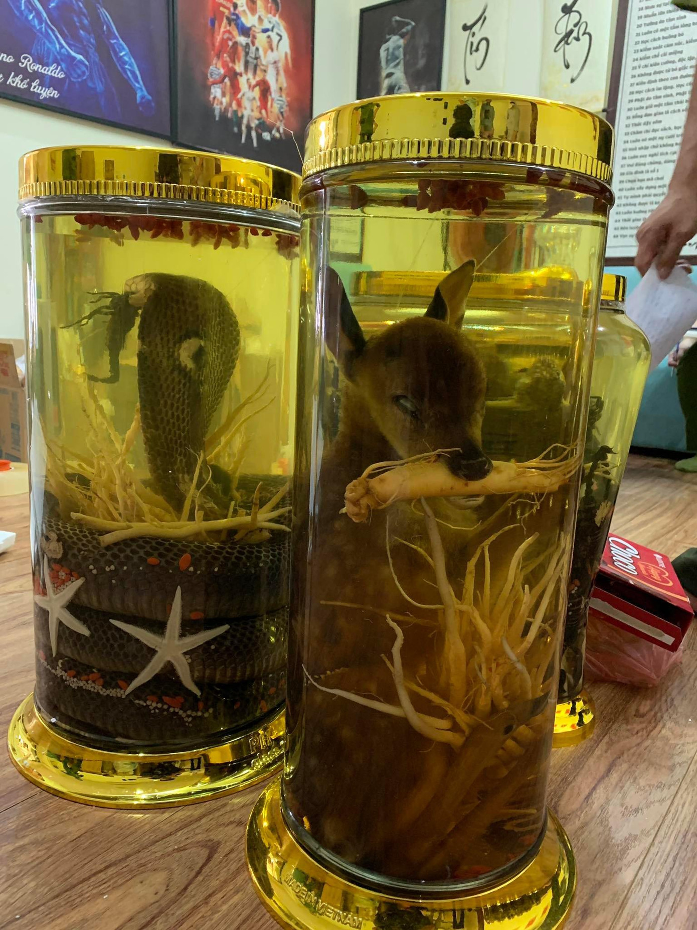 Hơn 100 bình rượu ngâm các loại động vật.