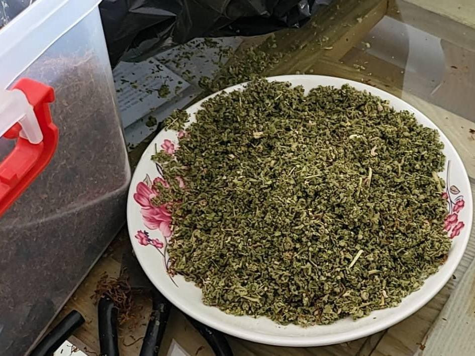 "Cỏ Mỹ" bị thu giữ. "Cỏ Mỹ" bị thu giữ.