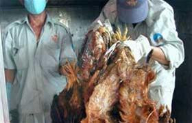 Dịch cúm đe doạ sức khoẻ cộng đồng và kinh tế đất nước ảnh 1