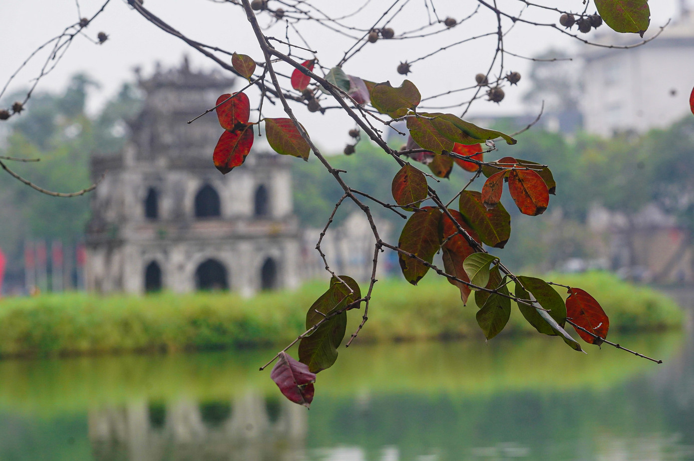 Mưa phùn, mưa bụi, những cành cây khẳng khiu mang lại một vẻ đẹp rất khác cho hồ Gươm. Bên cạnh đó còn tạo cảm hứng từng khuôn hình cho những người thích chụp ảnh về hồ Gươm.