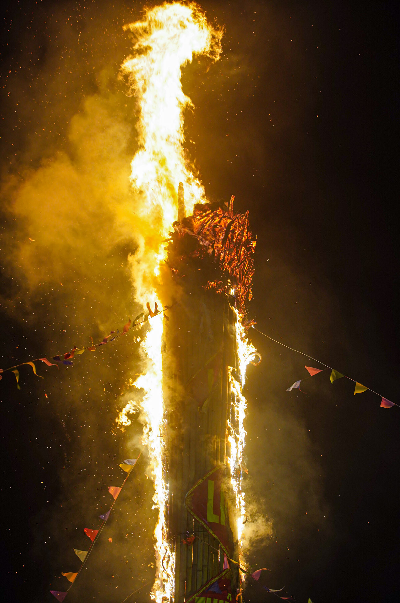 Ánh sáng từ cây đình liệu toả sáng rực rỡ.