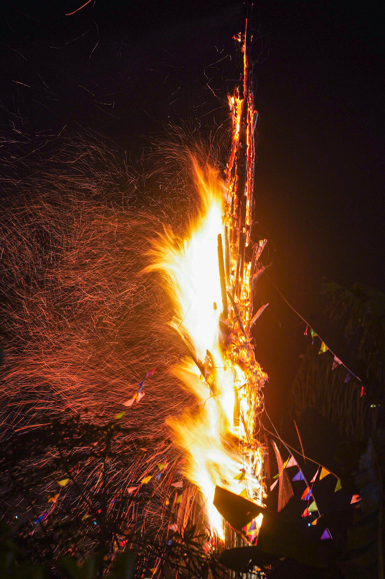 Ánh sáng từ cây đình liệu toả sáng rực rỡ.