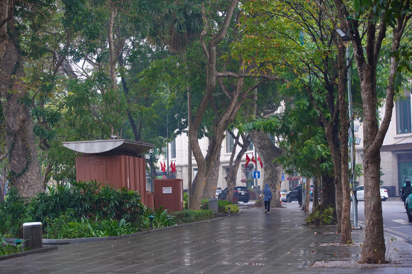 Vỉa hè quanh hồ Hoàn Kiếm vắng bóng người trong ngày mưa rét.